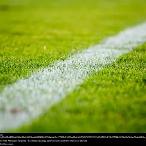 Imagem de capa para o Curso online Revista Renan