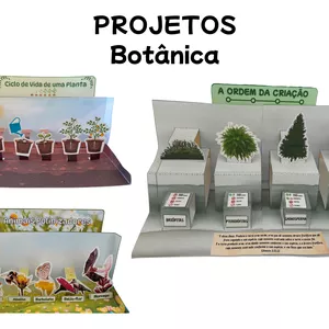 Imagem de capa para o Ebook Projetos Botânica