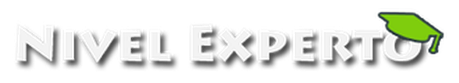 Nivel Experto logo