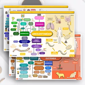 Imagem de capa para o Curso online Mapa Mental: Ancilostomíase e Larva Migrans Cutânea, Visceral e Ocular (Parasitologia)