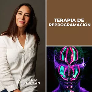 Imagen de portada para Ebook Terapia de Reprogramación; ¿Qué es?
