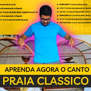 Imagem de capa para o Curso online AULA PRATICA DO CANTO PRAIA CLASSICO