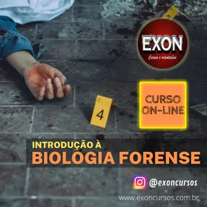 Capa do curso 