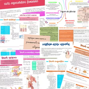Imagem de capa para o Curso online Resumos de Fisiologia, Anatomia e Histologia