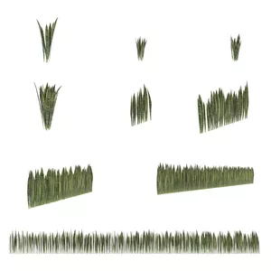 Cover image for Online course  Pack 001 - [9] Snake Plant - Espada de São Jorge