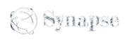 Synapse Training