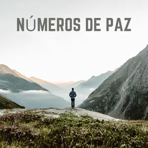 Imagen de portada para Curso online Números de Paz