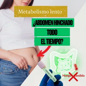 Imagen de portada para Curso online El Protocolo Definitivo contra la Cándida: Guía Completa para Erradicar el Hongo y Recuperar tu Salud