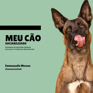 Imagem de capa para o Curso online Meu Cão Sociabilizado 