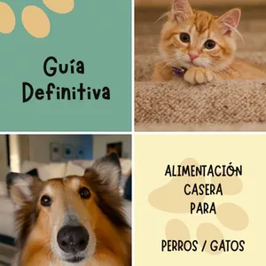 Imagen de portada para Ebook Guía Definitiva Alimentación Para Perros y Gatos 