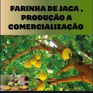 Imagem de capa para o Ebook FARINHA DE JACA , PRODUÇÃO A COMERCIALIZAÇÃO. 