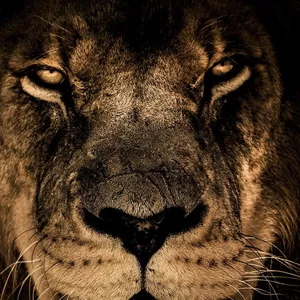 Imagem de capa para o Ebook Vendas de sucesso