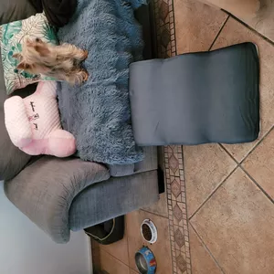 Imagen de portada para Ebook Ikki 