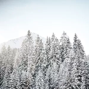 Imagem de capa para o Ebook Superando Desafios: Guia Completo para o Manejo do TDAH