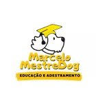MestreDog Educação e Adestramento 