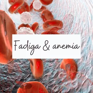 Imagem principal do produto Apostila - Fadiga & anemia