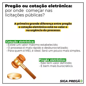 Imagem de capa para o Ebook Ebook de como vender para o governo 