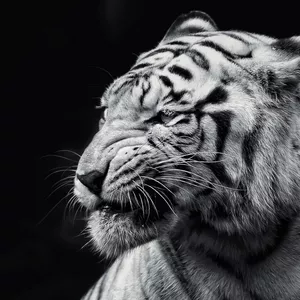 Imagen de portada para Curso online Aprende a entender a la gente