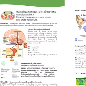 Imagem de capa para o Ebook Orientação do paciente com enjoo, náusea e vômito 