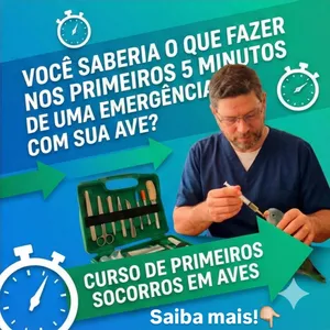 Imagem do curso CURSO de Primeiros Socorros em Aves