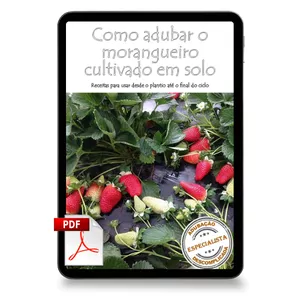 Imagem de capa para o Ebook [Morangos] Livro Digital | 1 unidade | Como adubar o morangueiro cultivado em solo - Receitas para usar desde o plantio até o final do ciclo