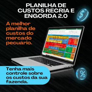 Planilha de Custos Recria e Engorda 2.0