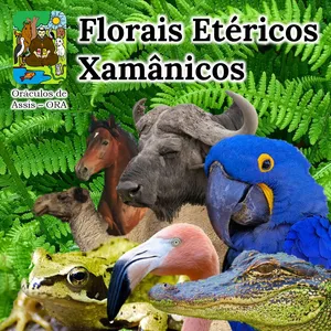 Imagem principal do produto Curso de Florais Etéricos Xamânicos nível básico.  