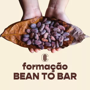 Imagem de capa para o Curso online Faça seu próprio chocolate: Formação Bean To Bar