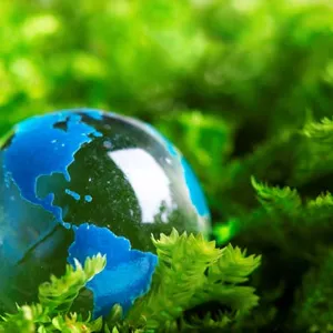 Imagem de capa para o Curso online Fundamentos de Meio Ambiente