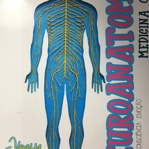 Imagem de capa para o Ebook NEUROANATOMIA - CADERNO DIGITAL