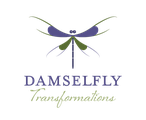 Damselfly Transformations Academy logo