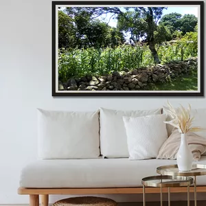 Imagen de portada para Curso online 🖼️ “LA COSECHA DEL MAÍZ : Fotografía Artística de un Paisaje Rural con Milpa y Muro de Piedra – Descarga Digital HD”