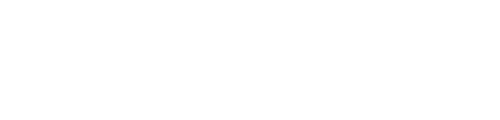 Lena Snow logo