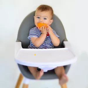 Imagen de portada para Curso online Curso Online Baby Led-Weaning – BLW – Alimentación complementaria autorregulada por el bebé