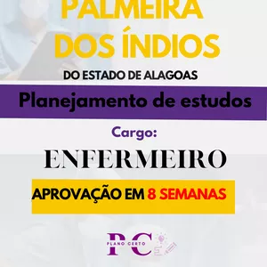 Imagem de capa para o Ebook ENFERMEIRO - PALMEIRA DOS ÍNDIOS-Planejamento de estudos  + 3 BÕNUS