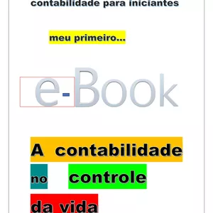 Imagem de capa para o Ebook A contabilidade no controle da vida