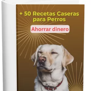 Imagen de portada para Curso online + 100 Recetas Caseras para Perros Ahorre dinero con su Perro