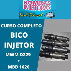 Imagem principal do produto Curso Bico Injetor D229 MWM + MBB 1620