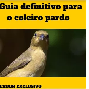 Imagem de capa para o Ebook MANEJO DE COLEIRO PARDO