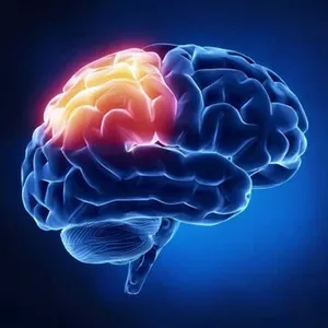 Imagem de capa para o Curso online Mente Theta - Desbloqueie o poder do seu inconsciente