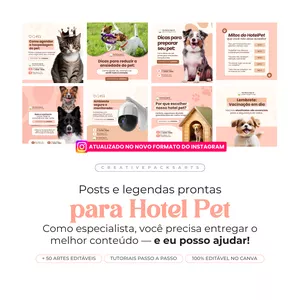 Imagem de capa para o Curso online PACK PARA HOTEL PET