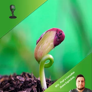 Curso Aprenda hormônios vegetais: Giberelinas o fitormônio da germinação de sementes (certificado de 04 horas)