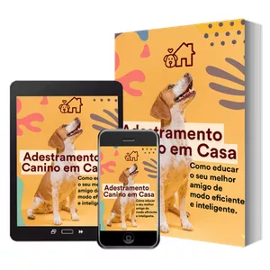 Curso Adestramento Canino 