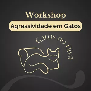 Imagem de capa para o Curso online WORKSHOP DE AGRESSIVIDADE EM GATOS