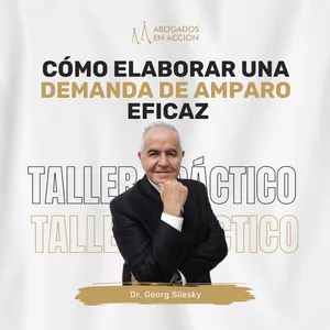 Imagen de portada para Curso online Cómo elaborar una demanda de amparo eficaz