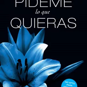 Imagen de portada para Ebook Pídeme lo que quieras 