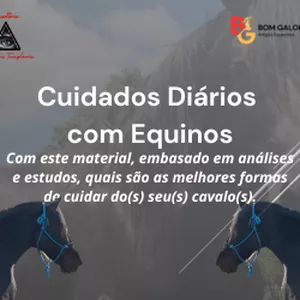 Imagem de capa para o Ebook Cuidados Diários com Equinos