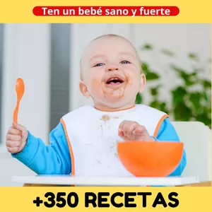 Imagen de portada para Ebook +350 RECETAS PARA BEBES 