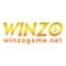 Winzo Game's School
