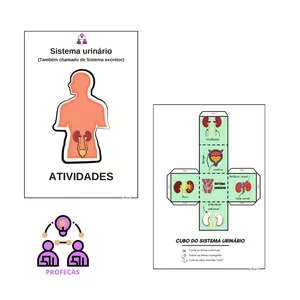 Imagem de capa para o Ebook Sistema Excretor ou Urinário